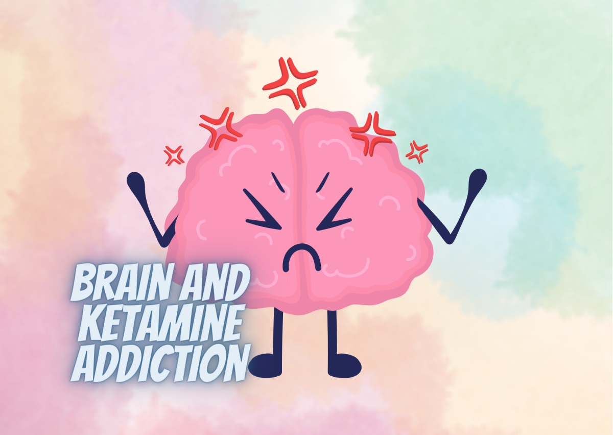 brain and ketamine addiction